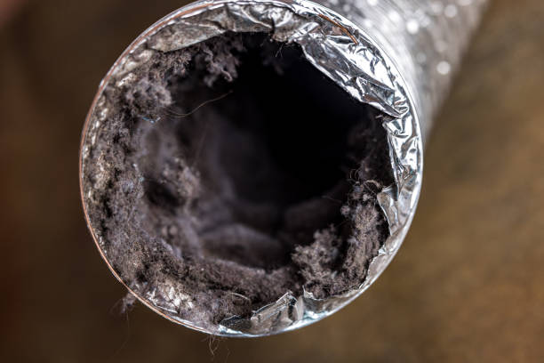 Best Ductwork Cleaning Services  in Copperas Cove, TX