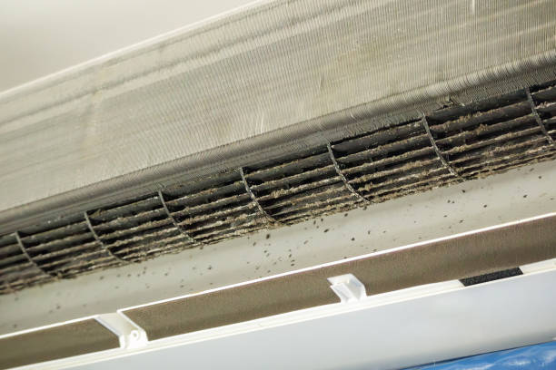 Best Home Air Vent Cleaning  in Copperas Cove, TX